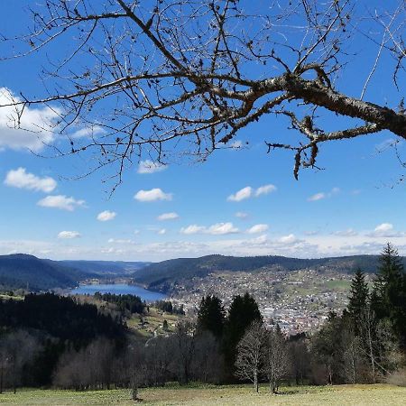 Apartmán Studio Des Gouttridos Gérardmer Exteriér fotografie